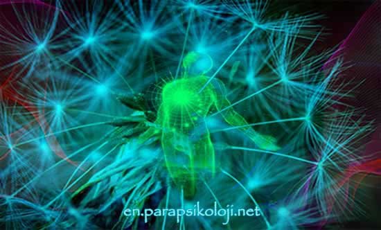 About us Parapsychology